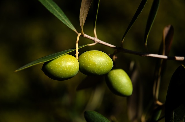 Olive